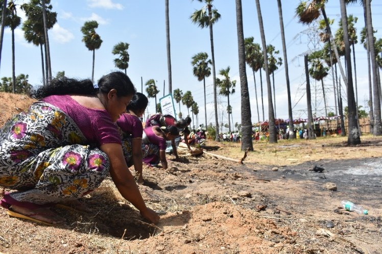 Mass Palyamara Plantation drive at Anthoniyarpuram, Tuticorin
