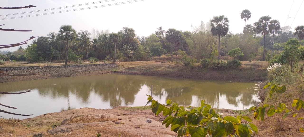 Cleaning of pond at Elippara, Sultanpet